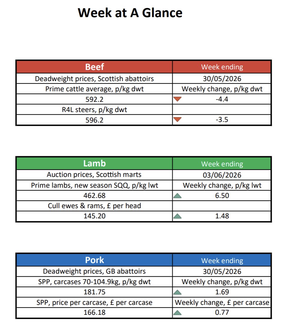 qmscotland's tweet photo. 👀Check out our 'Week at a Glance' below!🔍

📈Deadweight prices supplied by AHDB (All rights reserved)

📊Weekly auction averages created by QMS from data supplied by IAAS.

Be the first to see this information, sign up to the QMS newsletter today: https://t.co/hGIlU8liFQ https://t.co/sch1PuhKU8