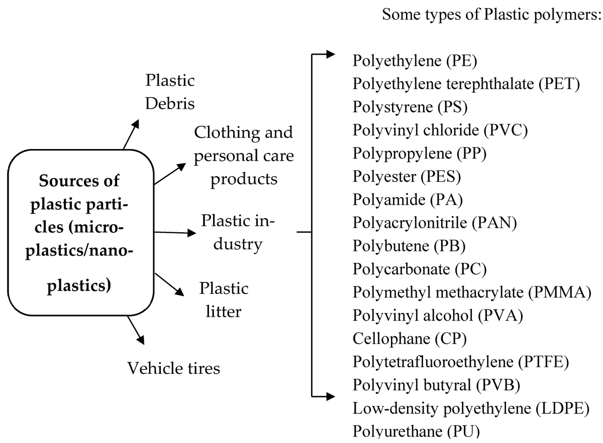 Pollutants_MDPI's tweet photo. 📈 Highly cited in #Pollutants! 

"#Microplastics in Animals: The Silent Invasion" tracks how tiny plastic fragments cross biological barriers in wildlife.

🔗Read: https://t.co/csWax9MCOc https://t.co/iq0ppLnxar