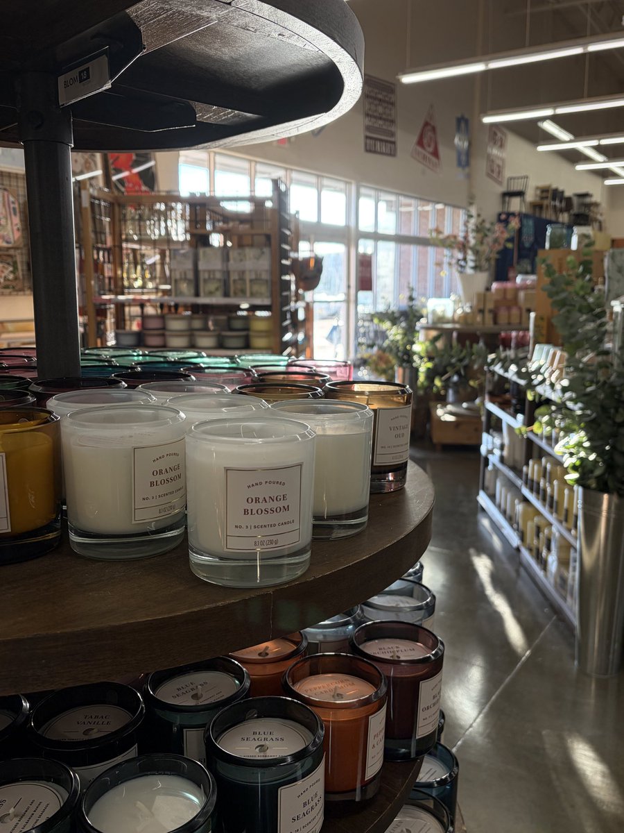 cutiefloraa's tweet photo. i already own candles but what if i need these too https://t.co/wD0Xoe88PL