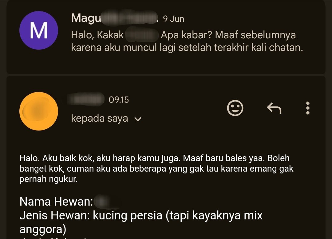 magu²⁵ mention for dm! tweet media
