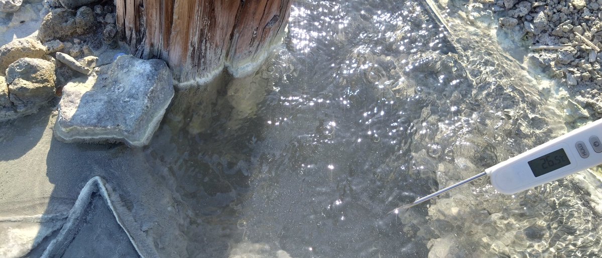 tripper1881's tweet photo. むつ市:恐山 小地獄の湯⑦
小地獄の下流左岸エリアにある湧出群です
泉質は硫黄泉の系統、強い苦味と強い硫黄臭味が感じられました
白濁湯だったり透明だったり、黄色だったり黒っぽかったりとやけにカラーバリエーションが豊富ですが、この違いは何なのでしょう…？

 #温泉
 #秘湯
 #野湯？
 #青森県 https://t.co/cvscOvGd57