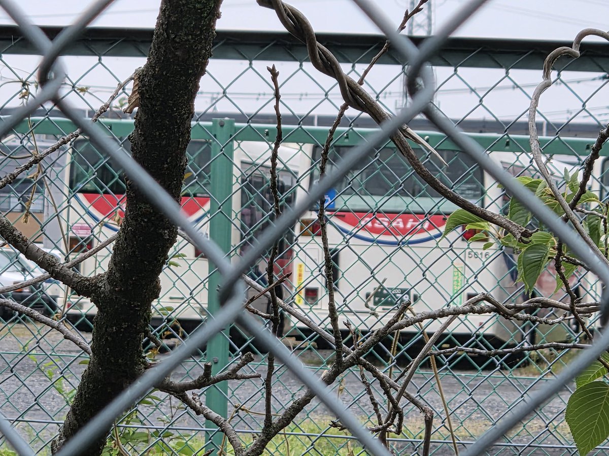 SectionExp_Tob's tweet photo. 日曜に見に行ったら除籍車と同じ場所にいたのはやはり"そういう事"だったんですね
東武バス時代から実に23年間、本当にお疲れ様でした https://t.co/1oP2slmsKg