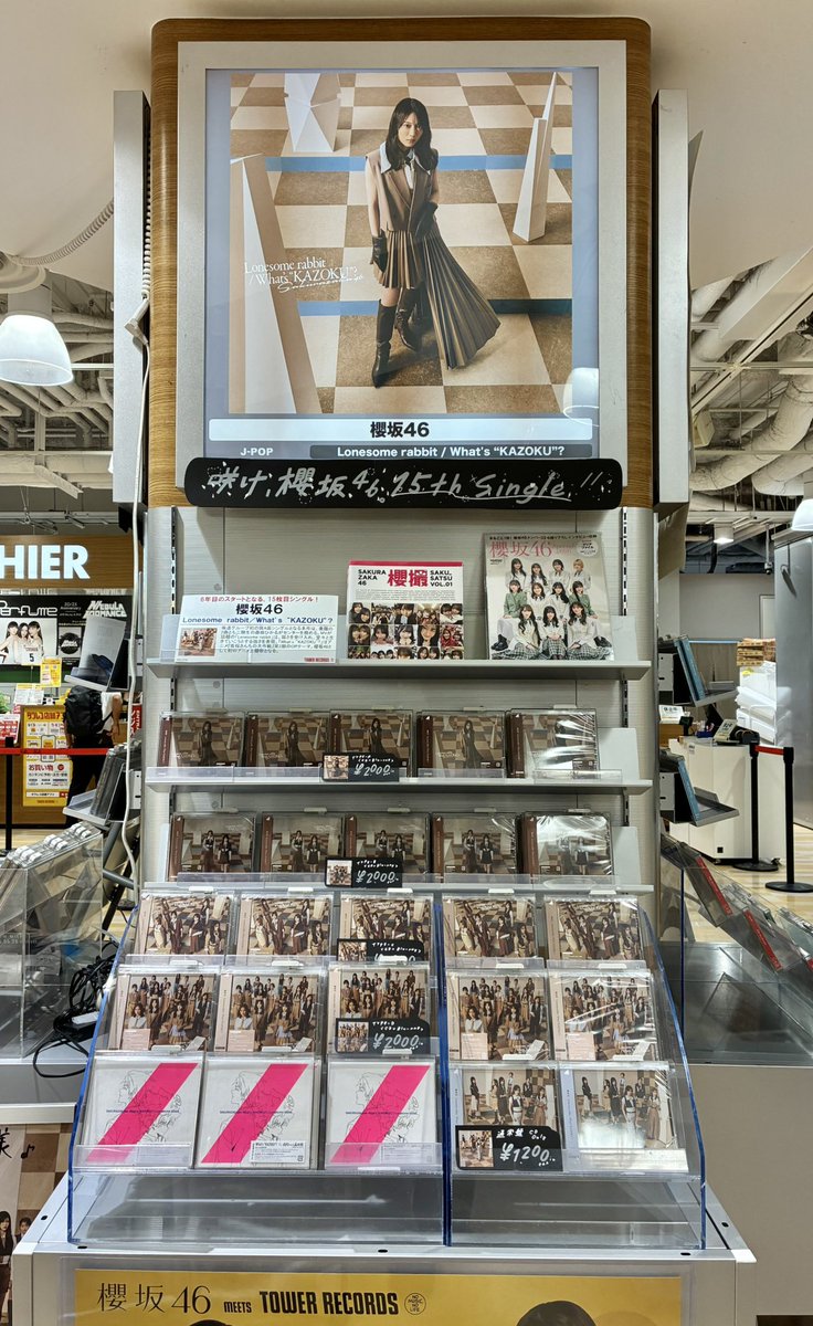 櫻坂46 】 ─⋆.˚✧ 15th Single 「Lonesome rabbit／What's 