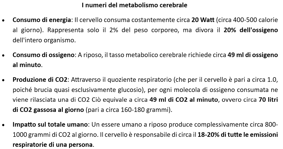 Folidoc's tweet photo. Allarme clima: scoperto un nuovo produttore di CO₂:
il cervello umano. 
Consuma energia, produce CO₂ e addirittura partorisce opinioni. Presto il Green Deal ci dirà anche quante idee possiamo permetterci e vi sarà una Think Tax. Le masse NON devono pensare, inquinano! https://t.co/8tj50XZMAf