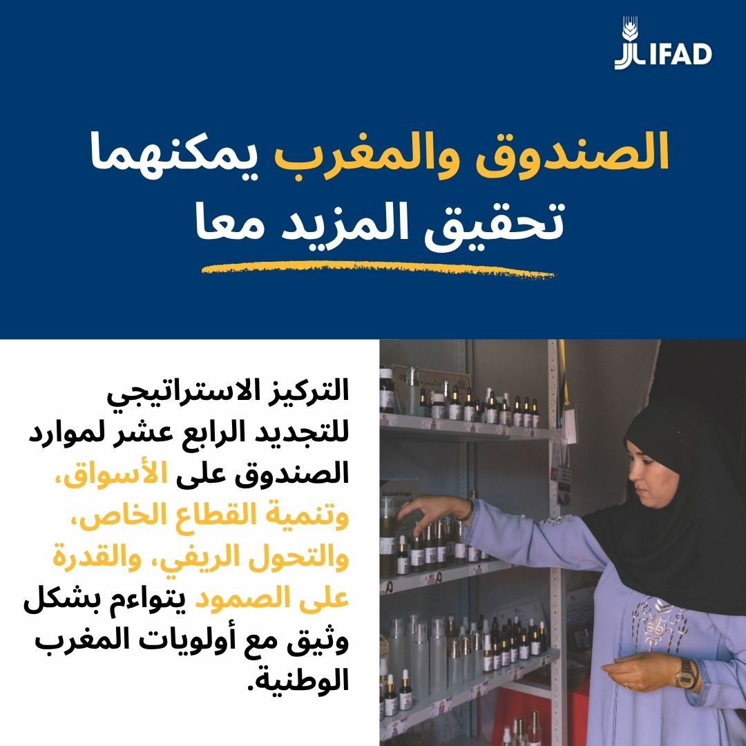 IFADarabic's tweet photo. عمل #المغرب والصندوق معا بشكل وثيق منذ عام 1979، من أجل تعزيز التنمية الريفية الشاملة والقادرة على الصمود.
 
التركيز الاستراتيجي للتجديد الرابع عشر لموارد الصندوق على الأسواق، وتنمية القطاع الخاص، والتحول الريفي، والقدرة على الصمود يتواءم بشكل وثيق مع أولويات المغرب الوطنية.