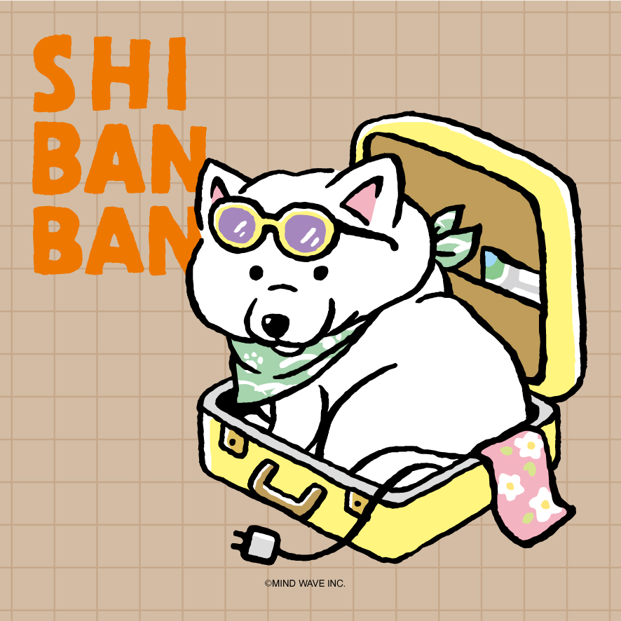 shibanban_mw's tweet photo. 連れてけアピール
しろしばんばんVer.

#しばんばん https://t.co/dQnJHbQhY4