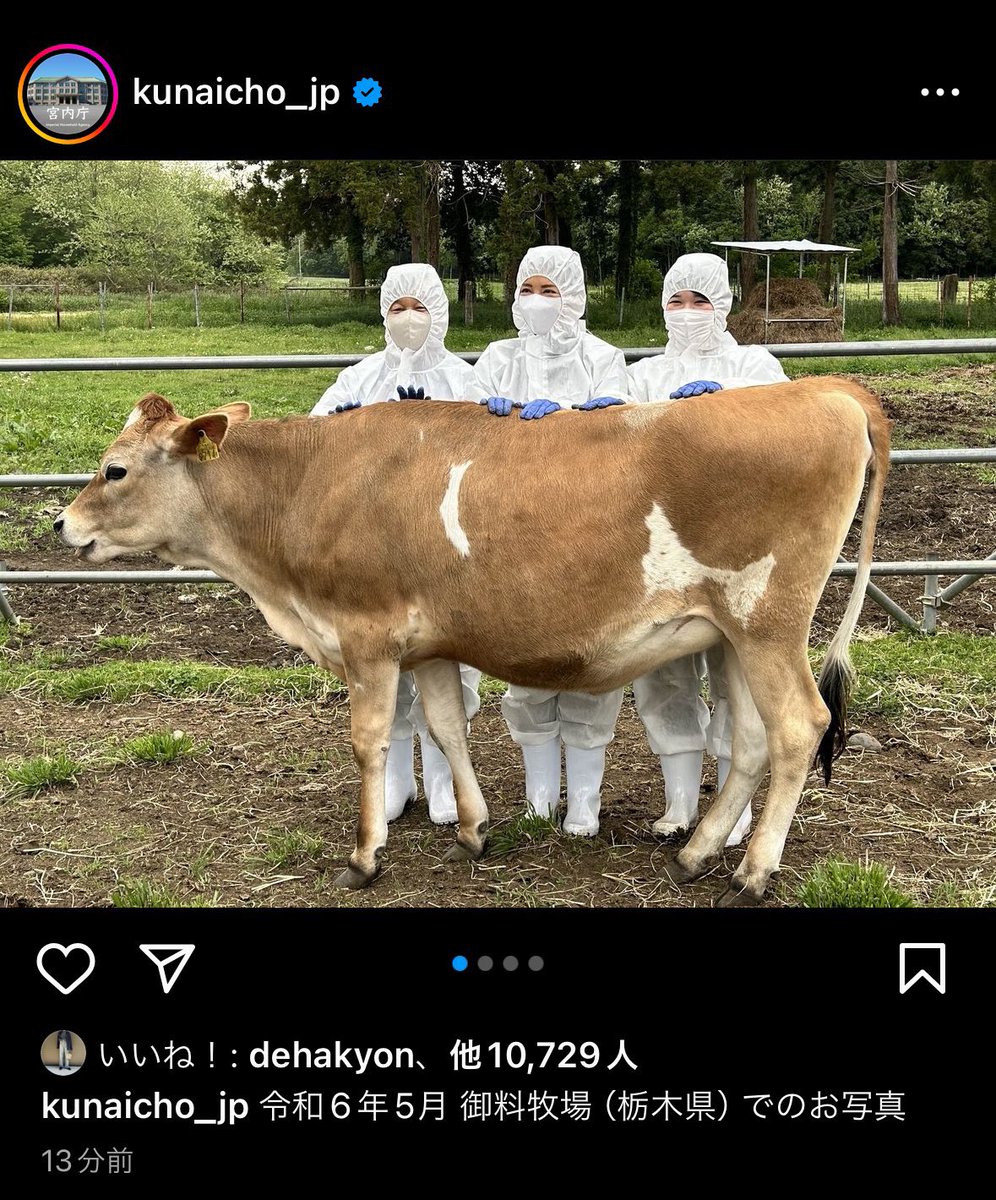 twibuzmatome's tweet photo. 宮内庁のインスタがセンスありすぎるとバズって、最初意味が分からなかったんだが、理解してからニヤニヤしてる。 https://t.co/GkkpBGzwO6