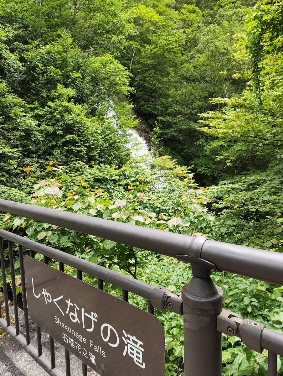 miracledelta's tweet photo. 奥四万湖としゃくなげの滝

天気も良く「四万ブルー」が美しい

https://t.co/nda99rgbgu https://t.co/pX38Zo16ft