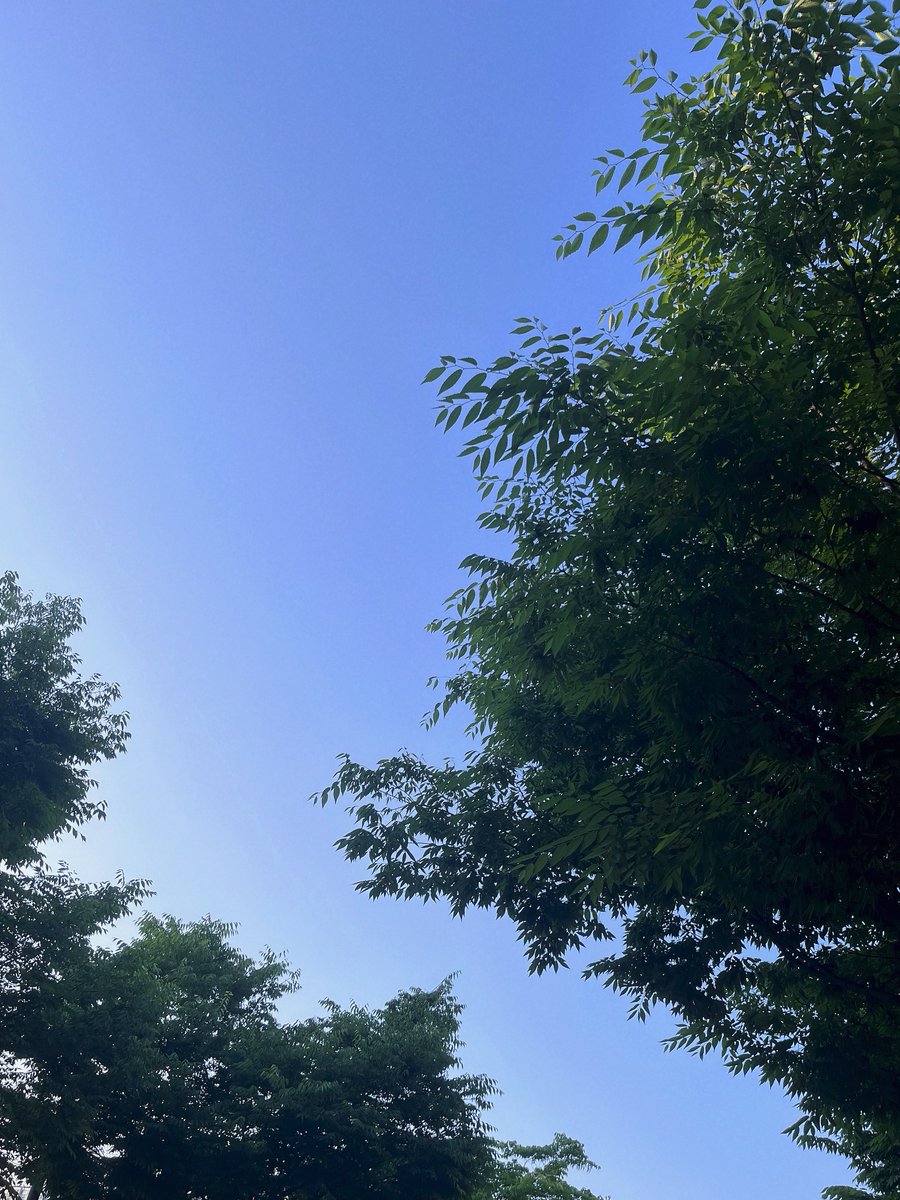 qqondo's tweet photo. 요즘의 조각들 🎞️ https://t.co/8zGYJvdgN0