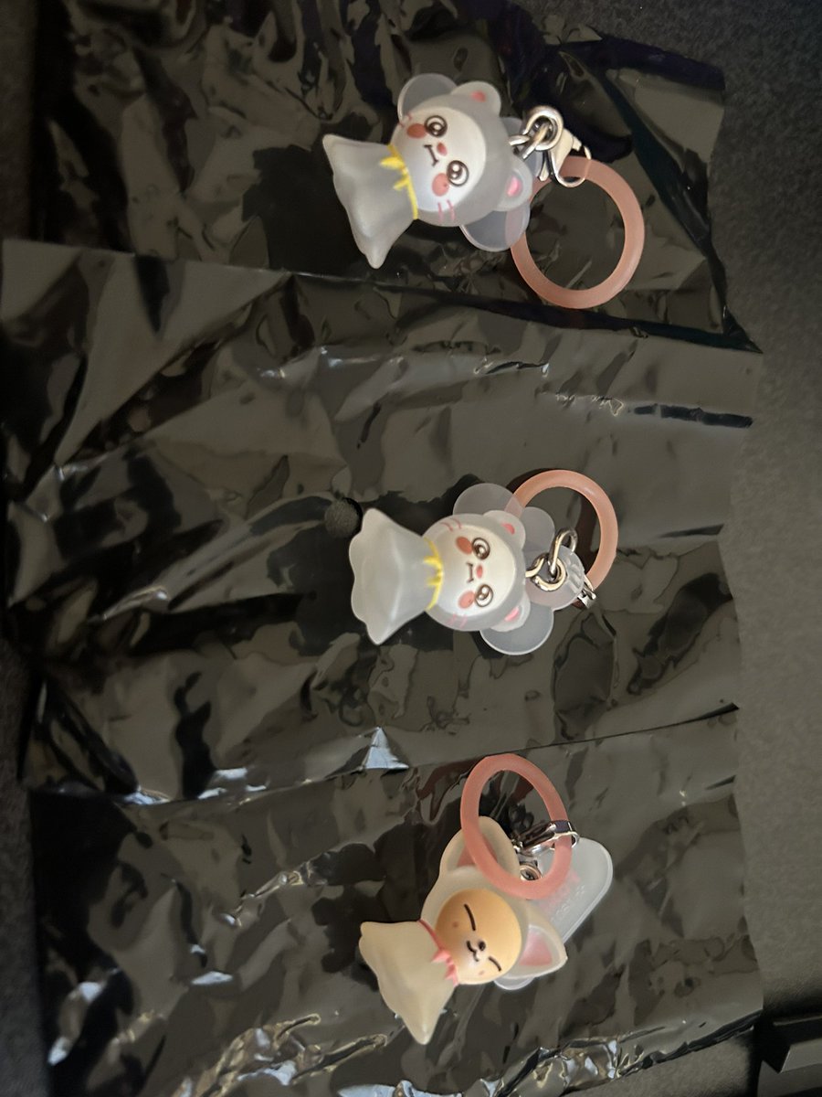rm_19k's tweet photo. SKZOO  めじるしアクセサリー    スキズ
 
譲 画像

求 リービット
    ハンクウォッカ
     パピーム

纏めて交換していただける方優先にさせて頂きます🍀*゜ 同日発送可能
お気軽にお声かけください💗 https://t.co/7d4RNhMKBN