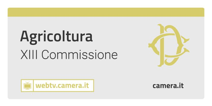 Montecitorio's tweet photo. Tutela degli #equidi: in Commissione #Agricoltura, audizione di rappresentanti di @Agrocepi2017 e della professoressa Margherita Pittalis - @Unibo.
Segui la diretta: https://t.co/btD8zbZoNY
#OpenCamera https://t.co/NcwBGAeXTU