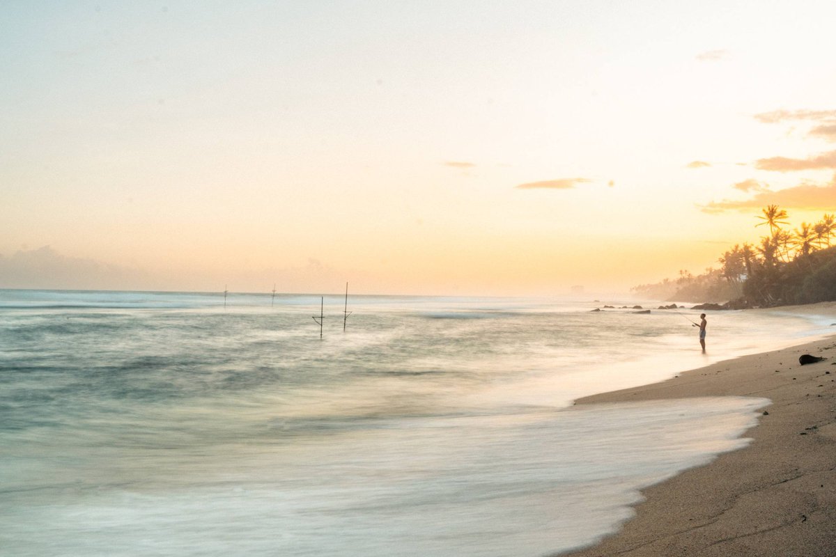 OLA_World_com's tweet photo. Golden hour magic on Sri Lanka's coast 🌅 A lone fisherman stands where waves meet sand, while traditional fishing poles rise from the turquoise water. Palm trees sway in the distance. This is tranquility defined.....

#SriLankaTravel #SunsetVibes #BeachLife https://t.co/4lQyrvHYyr