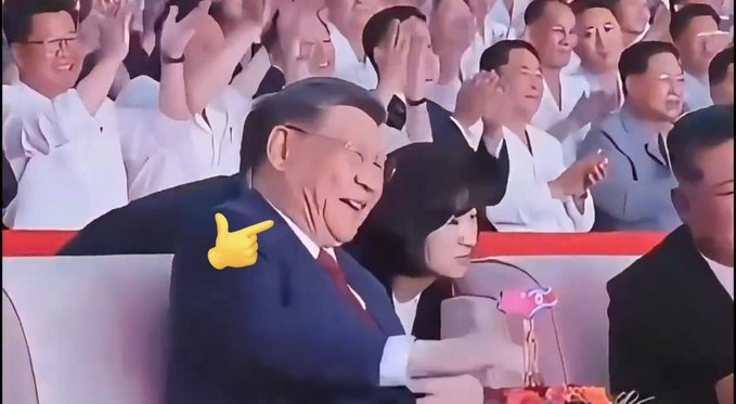 谢万军 Wanjun Xie tweet media