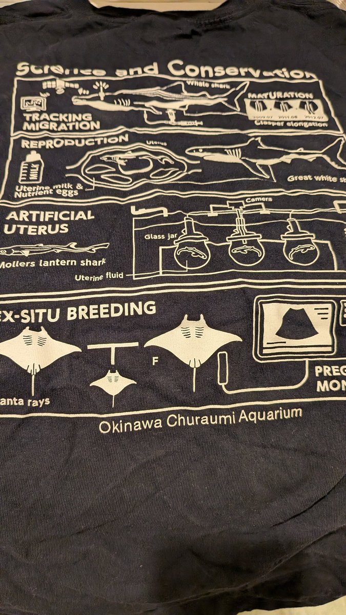 Hi_Shark_'s tweet photo. お気に入りのTシャツまちがえて乾燥機かけてもたー！！ｸｼｬｸｼｬｰ https://t.co/r4i0CkwV1N