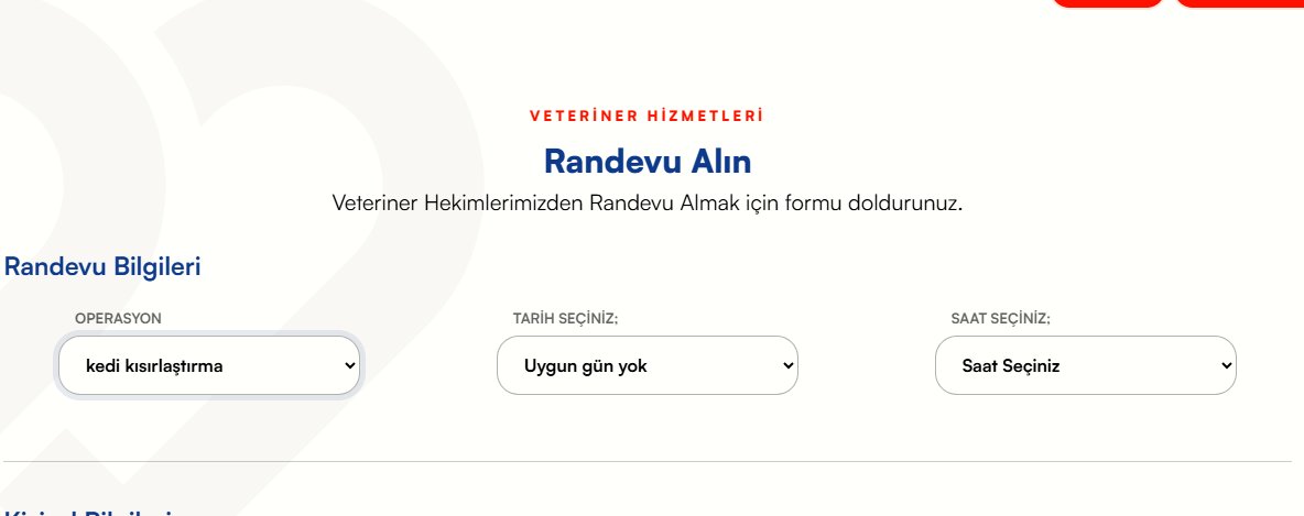 Fikirelma's tweet photo. @sislibelediyesi mahallemizde bulunan sayıca fazla kedimiz için popülasyonu korumak amacıyla belediyenizin veteriner işlerinden randevu alamıyorum. kimden hizmet alacağız sizden değilse? Kısırlaştırmayı mı sonlandırdınız? https://t.co/joOxOmTa73