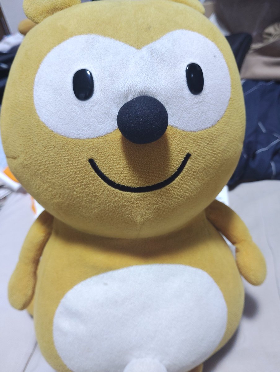MLYakumo's tweet photo. #これ見た人はフォルダにあるたぬき晒す https://t.co/kBw9hdUbk5