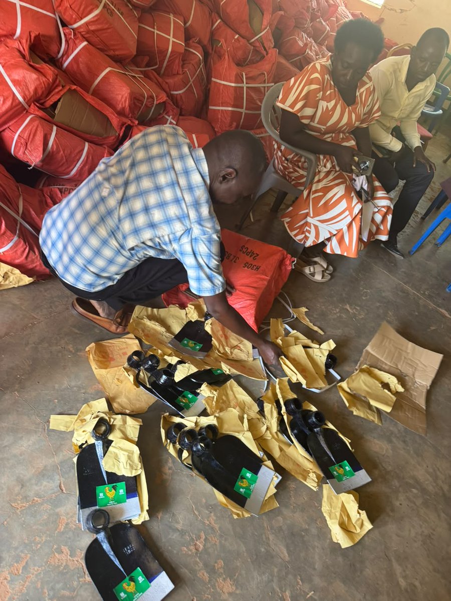 LangoNewsNet's tweet photo. TOP STORY: The Resident District Commissioner (RDC) of Amolatar District, Francis Okello Odoki Rwotlonyo, has warned officials against corruption and diversion of government agricultural inputs as the district commenced the distribution of hand hoes to farmers.

Odoki Rwotlonyo made the remarks on Wednesday while officiating at the flag-off ceremony for the distribution exercise alongside the District Vice Chairperson, Geoffreey Oyuku

The initiative is expected to benefit approximately 39,428 households across the district and forms part of the government's efforts to boost agricultural productivity, enhance food security, and improve household incomes.

Odoki emphasized that the hand hoes are intended for genuine beneficiaries and cautioned those involved in the distribution process against engaging in malpractice.

He warned that any individual found diverting the hoes or participating in corrupt practices would face arrest and possible interdiction.

"We shall not tolerate any form of corruption in this exercise. These tools are meant to support our farmers, and anyone who attempts to deprive them of this government assistance will be dealt with according to the law," Odoki said.

Odoki further urged officials responsible for the distribution to uphold transparency and accountability to ensure the agricultural tools reach the intended beneficiaries.

He noted that effective distribution of the hoes would contribute significantly to improving agricultural production and household livelihoods in the district.
