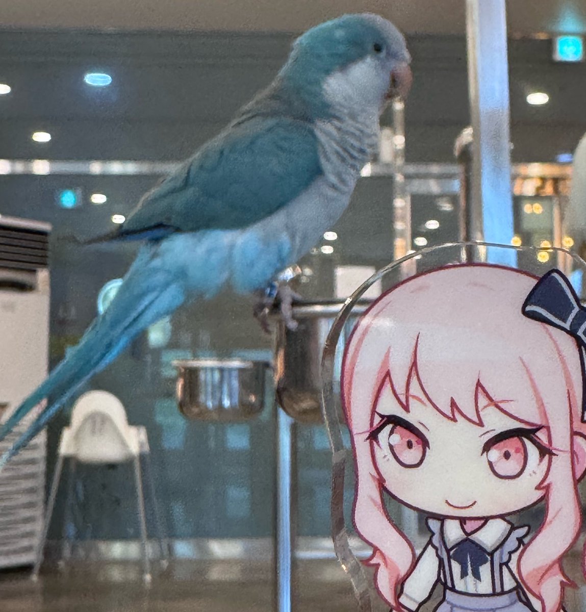 mizukidaisukiii's tweet photo. 무짱 https://t.co/Q1o3X78XxR