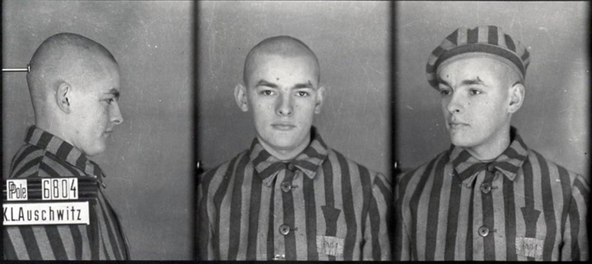 AuschwitzMuseum's tweet photo. On June 10, 1942, the mutiny of Polish prisoners from the penal company took place. They were employed digging the main drainage ditch in Auschwitz II-Birkenau, so-called Königsgraben [king’s ditch]. 

According to the plan prepared in advance, the escape was supposed to happen after the whistle signalizing the end of the working day. However, due to heavy rainfall, on that day the work was finished earlier, which left the majority of prisoners disoriented. 

At the sound of the whistle only about 50 of them began the escape in the course of which the SS men shot 13 prisoners. On the next day, in reprisal for the escape, they shot the next 20 prisoners and about 320 were murdered in the gas chamber. Initially, only nine prisoners managed to flee the pursuit, but the majority of them were shot or captured after some time.

Link to our online lesson about escapes from Auschwitz: https://t.co/B7WVzzqq6h

Listen about the mutiny in our podcast: https://t.co/HHn47kVs4P
---

Excerpts from an account by August Kowalczyk, recorded at the meeting held on 10 June 2012 on the 70th anniversary of his escape from the Penal Company 

The beginning I remember as if it was a slow motion film. I approached the clothing without any anxiety, put on my trousers, shirt and an overcoat. I had earlier ripped off the rags with my number on them in order to keep the escape anonymous. I approached the previously prepared shovel , put it on my shoulder, took a few steps towards the SS man, took aim and lunged, but he sprang to his feet as if he were really on a spring. My mates fled. I dropped the shovel on the ground and tried to get out of the SS man’s field of view. I saw Mietek Kawecki running in front of me, but he was already wounded, slowing down the run, until he dropped to the ground. The neighbouring group was to escape as well, but ‘their’ SS man didn’t know about it and our flight started first. 
That’s why he focused on me and tried to cross my path. He shot… 10 metres, 8, 6… He whacked me with the gun barrel on the shoulders. I turned back. Another fugitive emerged, the SS man followed him, I turned again, and with two other mates we ran into the bushes and went on running. I started the ‘striptease’ I had planned earlier. One boot went one way, the other-the other way. I put on the running shoes that I had managed to take from one of the German Kapos. The idea was to deceive the police dogs that the SS used. The jacket, the shirt, and the trousers followed the boots-I tossed them all the way into the bushes. I was only in my boxer shorts and the trainers. The bushes ended, we had about 40 m of meadow ahead, followed by another patch of scrub. My mates were running. The SS man shot twice-he missed. I ducked into a bush and saw him begin reloading. I thought that I would have managed to cover the distance by the time he had finished. My reasoning was correct, but the execution failed, as he reloaded and cocked the gun, and I was still in the bush. He must have seen me, because he took aim… Then, as I went flying across that meadow, I must have broken the 60 m world record for running. He shot twice and missed, I made it into the bushes, then across an old bed of the River Vistula. I lost one of the trainers in the marshes, threw the other one away, jumped into the water, went about 200 m down the river with the current, and left on the other bank.