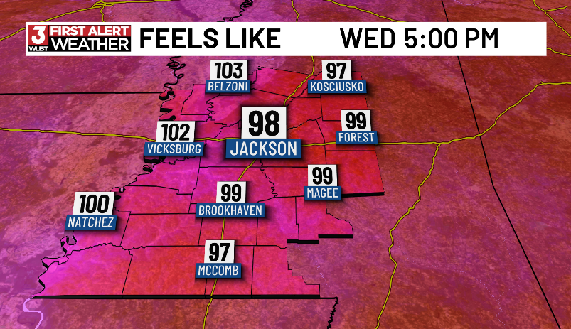 ChaseFranksWx's tweet photo. Expect highs in the mid-90s through the weekend, with heat index values climbing into the upper 90s and lower 100s during the afternoon.

💧 Stay hydrated
☀️ Limit time outdoors during peak afternoon heat
🐶 Never leave children or pets in vehicles

#mswx @WLBT https://t.co/sLpnDxKRw3