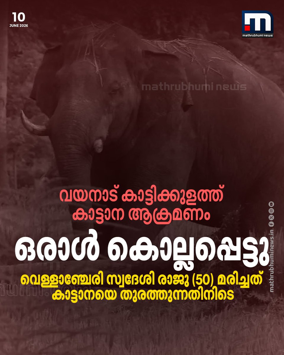 mathrubhuminews's tweet photo. വയനാട്ടിൽ കാട്ടാന ആക്രമണത്തിൽ ഒരാൾ കൂടി കൊല്ലപ്പെട്ടു. വെള്ളാഞ്ചേരി സ്വദേശി രാജുവാണ് മരിച്ചത്. കാട്ടിക്കുളത്തിന് സമീപം കാട്ടാനയെ തുരത്തുന്നതിനിടെയാണ് അപകടം.
#WayanadElephantAttack #Wayanad #WildElephantAttack #Mananthavady #ManVsWild https://t.co/v07055wfoM