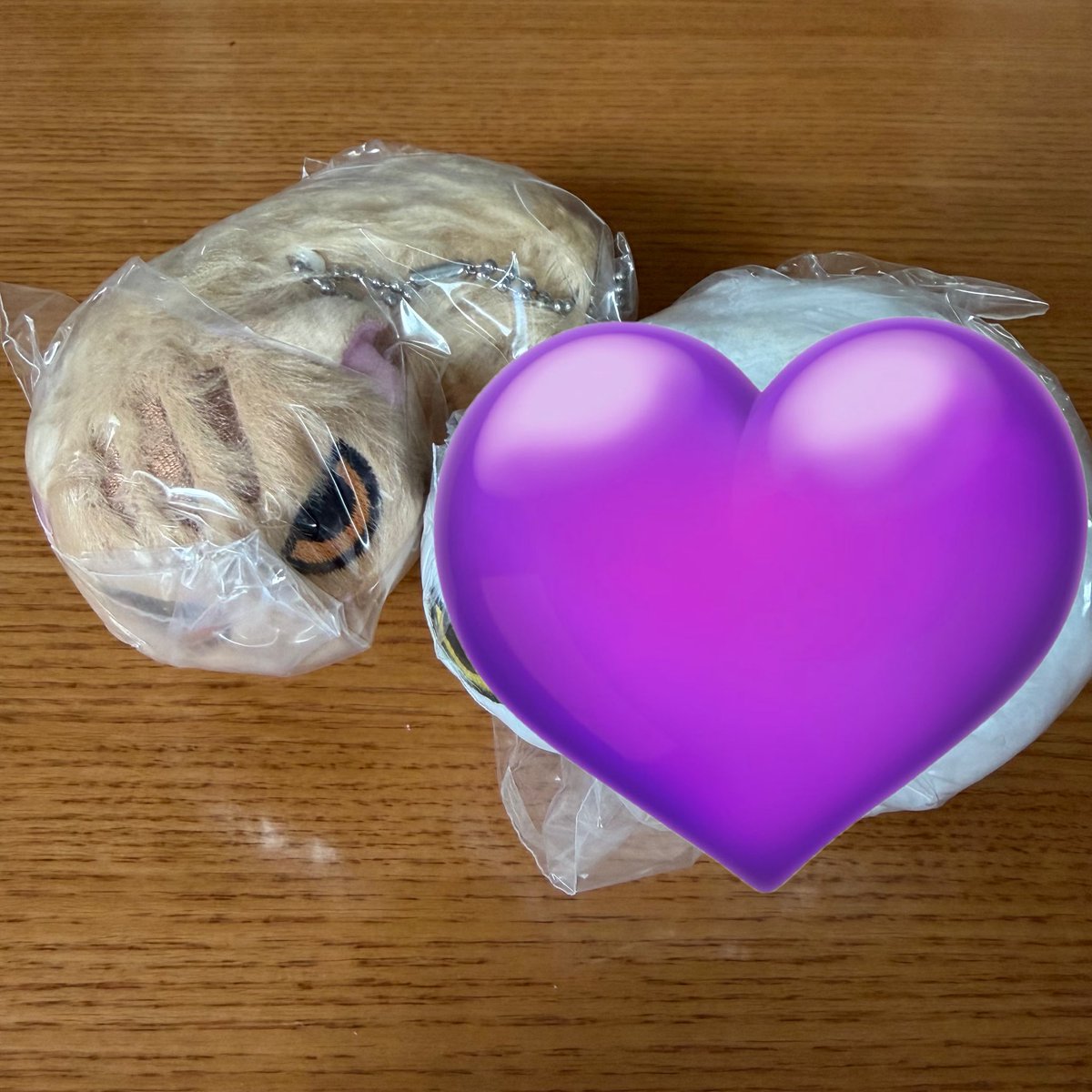 ____sheeee's tweet photo. 【交換】
ガチャ カプセル なつかない猫 ぬいぐるみ2

譲　八百屋さんの猫
求　大家さんの猫（第1弾）

郵送にて交換希望です。お気軽にお声がけください。 https://t.co/4o2vWde5LU