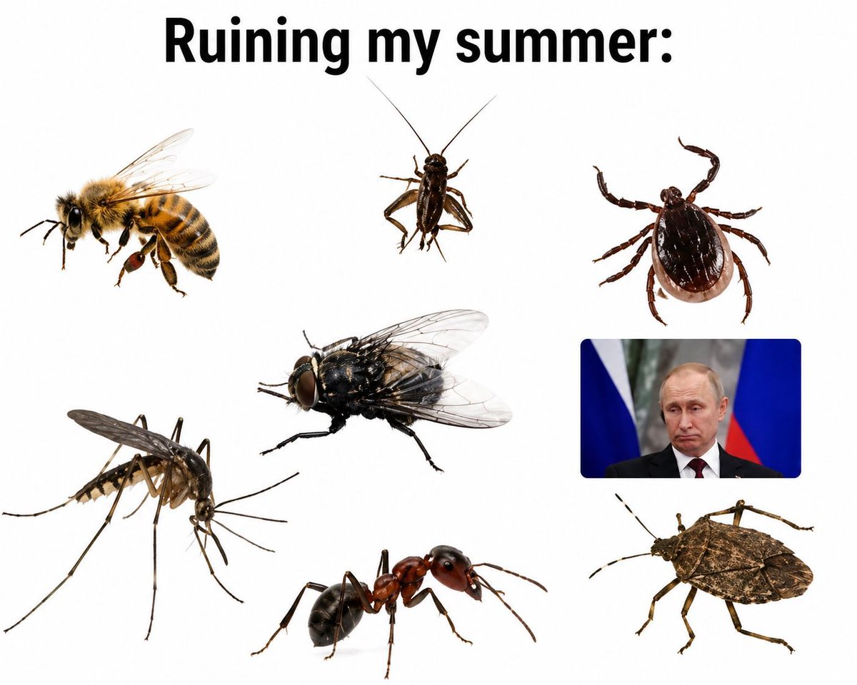 Oksii33's tweet photo. One of these pests has caused the most damage in Europe. Spoiler: it’s not the mosquito. https://t.co/LiTd1rSNOe