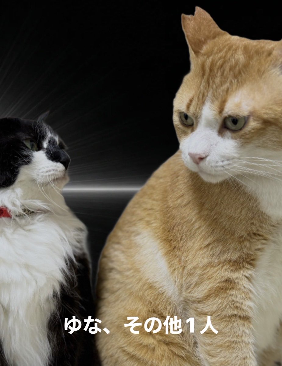 choco_chocolat's tweet photo. そんな https://t.co/eJT4iYfb63