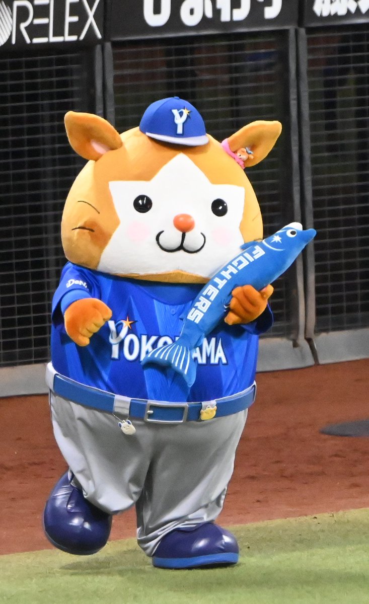 WellerGallagher's tweet photo. スターマンしゃけ持ってきた https://t.co/U47dkWyh6E