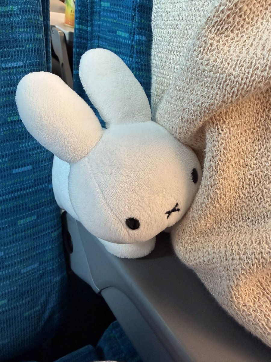 野生のうさぎ 2代目 tweet media