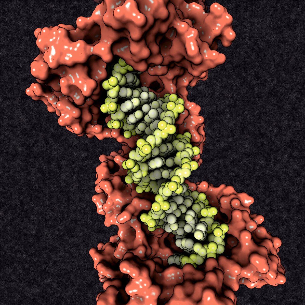 3D Protein Imaging (@proteinimaging) / Posts / X