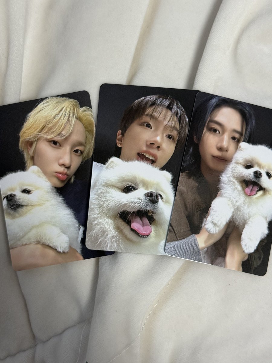pouticket's tweet photo. 보넥도 보이넥스트도어 HOME 홈 미개봉 앨범 양도 판매 unopened album

위버스 예판 특전 + 일반반 1세트 3.8

DM 

성호 리우 재현 태산 이한 운학 sungho riwoo jaehyun taesan leehan woonhak 포카 일본 boynextdoor poca sell 특전 분철 bnd 럭드 쁘넥도 블프 일본 https://t.co/4Mj3NsCaoH