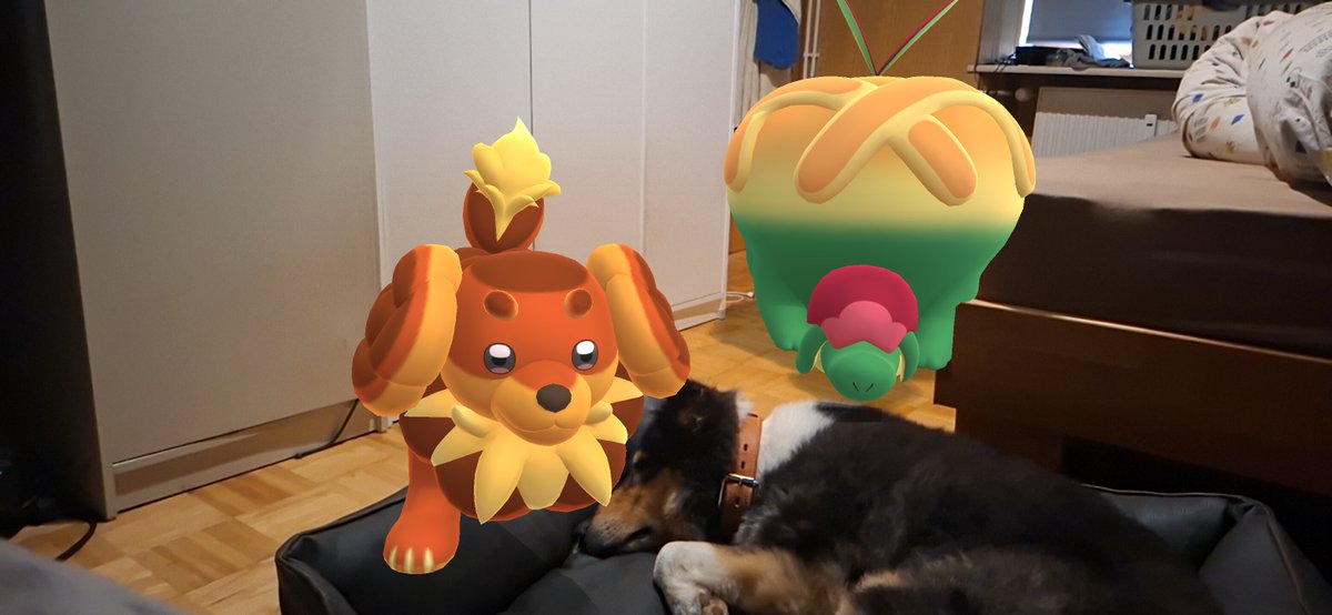 ItCollie tweet picture