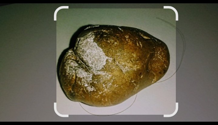 ReaderGalore's tweet photo. Ok did a tight close up of rock for #GoogleLens 😝 and got some decent results. Though it's not a fossil of a potato nor Jasper becuz mine does have a magnetic pull. https://t.co/aMdg9D7M0f