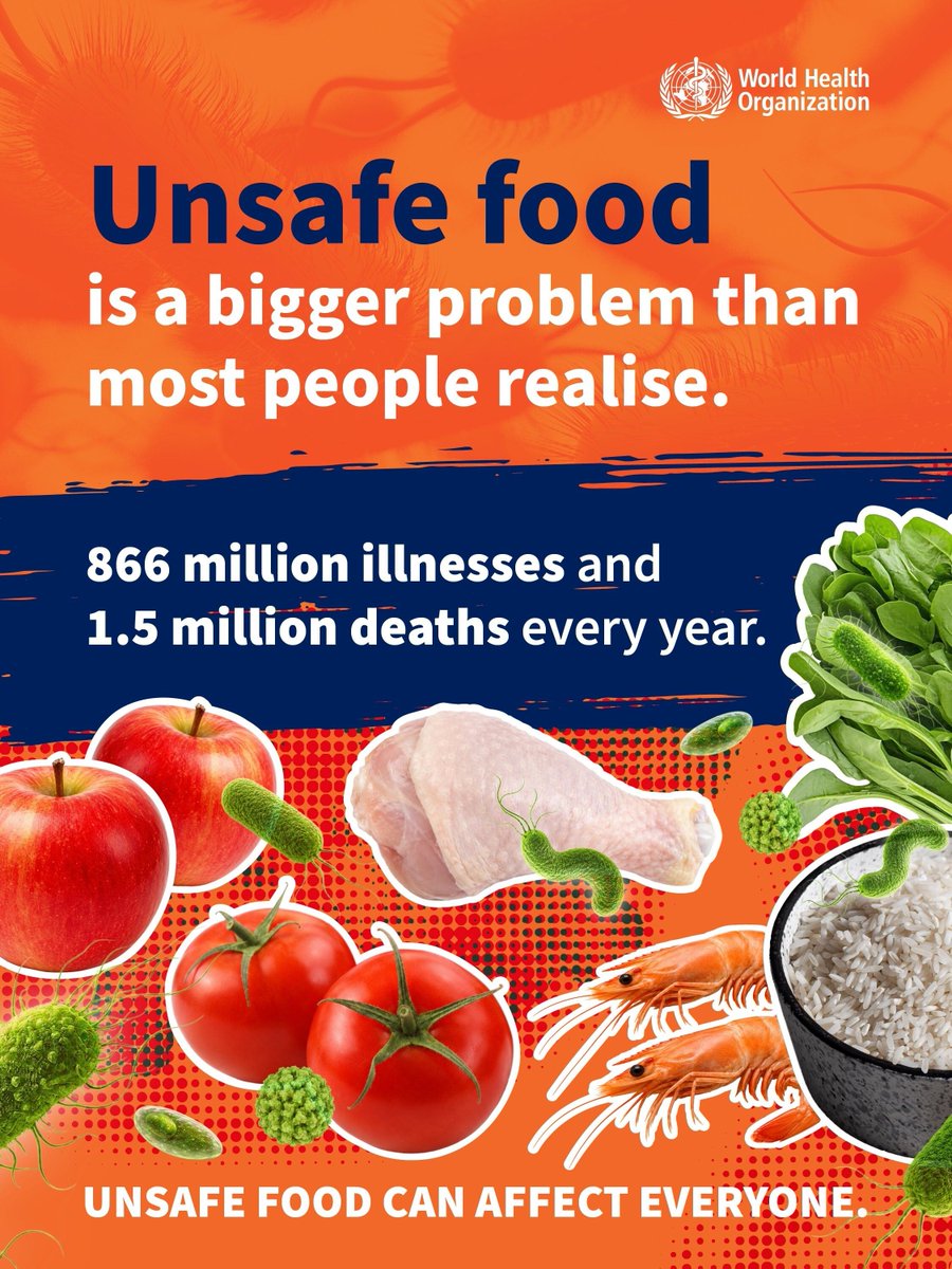 WHOSEARO's tweet photo. Harmful germs and chemicals can hide in everyday foods, including meat, seafood, dairy products, fruits, vegetables, rice, grains and even drinking water.

Protect yourself and your family by: 
✅ Washing fruits and vegetables with safe water
✅ Cooking food thoroughly
✅ Keeping food at safe temperatures
✅ Eating a varied diet

Food safety starts with simple actions that can prevent illness and save lives.

📖 Explore WHO's latest estimates on the global burden of foodborne diseases (2000–2021): https://t.co/6mxFMCyFvI 

#FoodSafety #SafeFood #HealthForAll #FoodborneDiseases #WHOSEARO