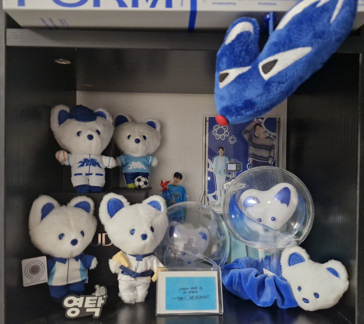 feihuntuan's tweet photo. 드디어 완성된 하우존 &amp; 마그네틱존 https://t.co/WFWG4GlPw1