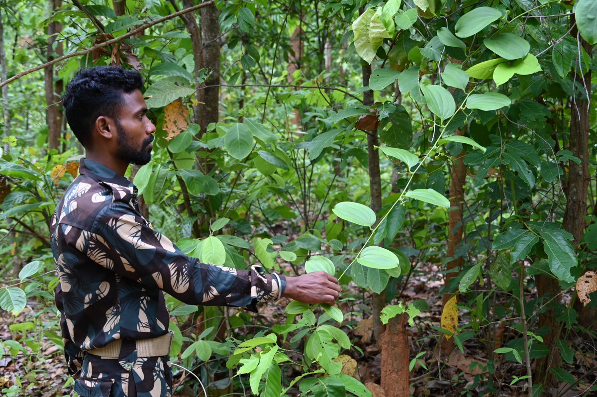 BiotechSanjeet tweet picture