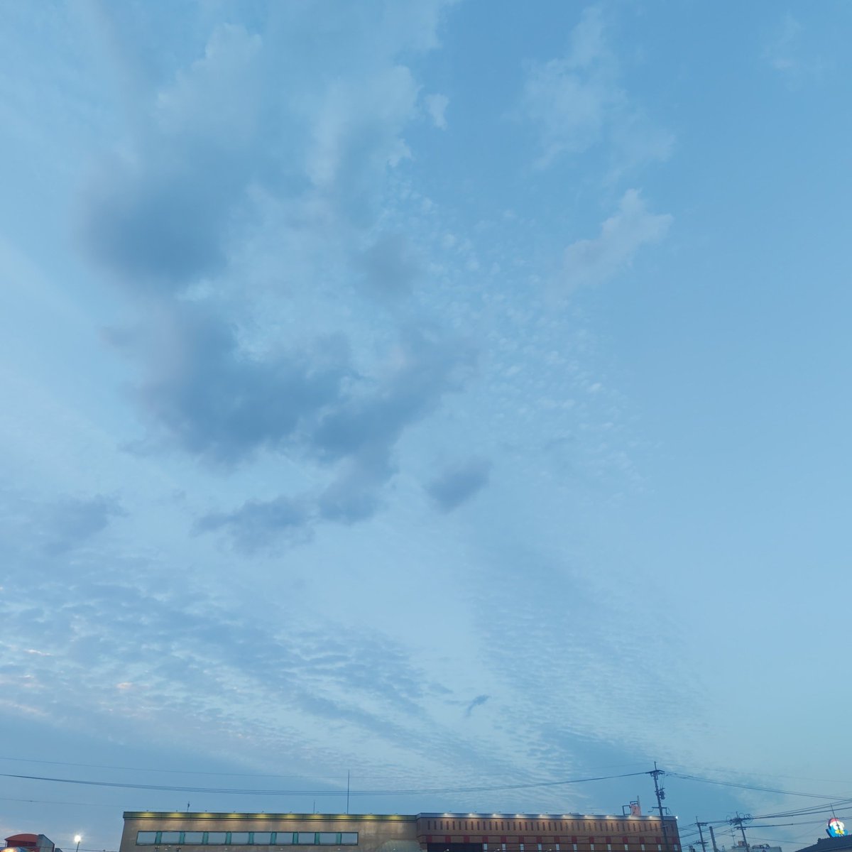 水曜日、お疲れさまでした✨️ 久しぶりによく晴れました！ 青空見える