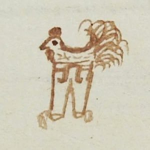 circuz888's tweet photo. @OnlyLJC thats not so old, Chicken in trousers is older 

https://t.co/vaAnwkyoGG https://t.co/cW9TGRkG5P