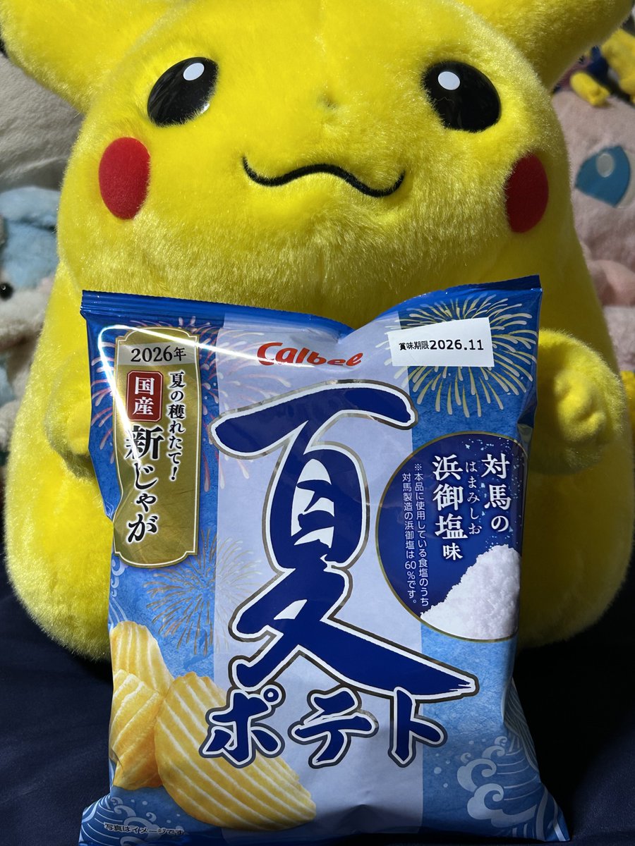 パッピー・ザ・ゼロスレイド (@rockman_pappy) / Posts / X