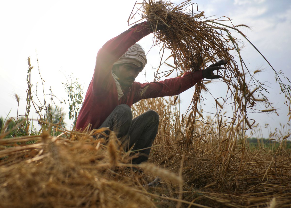 down2earthindia's tweet photo. Extreme heat is stealing work from India’s farm labourers.

In 2024, the hottest year on record, an Indian agricultural worker lost an average of 648 hours — or 54 full working days — to heat stress, a UK-based analysis says. 

With a possible Super El Niño threatening to push temperatures higher and 2027 projected to be the hottest year on record, outdoor labour could become increasingly unviable, reports @shagun__k .

Read: https://t.co/SCzvmwz7ye

#HeatStress
#ExtremeHeat
#IndianFarmWorkers
#AgriculturalLabour
#ClimateChange
#SuperElNino
#RuralLivelihoods
#FoodSecurity
#Heatwaves
#ClimateAndHealth