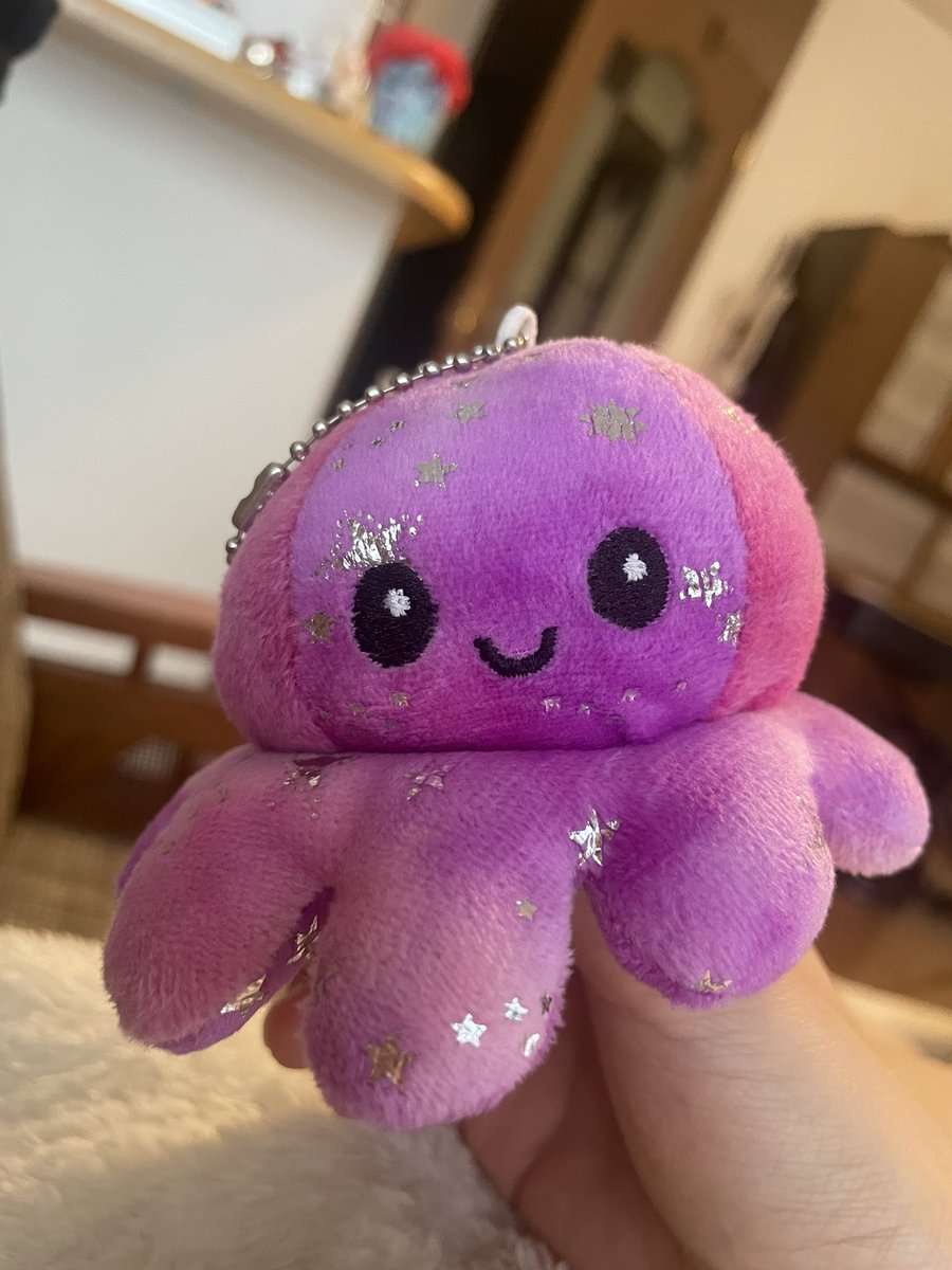 lapin2373's tweet photo. 彼氏が、みなみちゃんがアンガーマネジメントできるように、ムカついたらこれを裏返して気持ちを落ち着かせてねって言って買ってくれた　タコ丸 https://t.co/OiQ3FIvlID