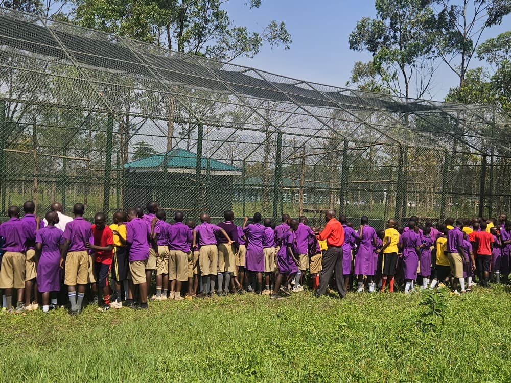 ubctvuganda's tweet photo. PICTORIAL: The Mbale Wildlife Conservation Education Centre has been officially opened to the public free of charge after completion of the first phase of wildlife translocation by @ugwildlife 

#UBCUpdates.  . https://t.co/lGQUlfDNnT