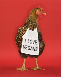 veganfuture's tweet photo. Stop eating chickens. Go Vegan https://t.co/tZ3Q1wVrbo