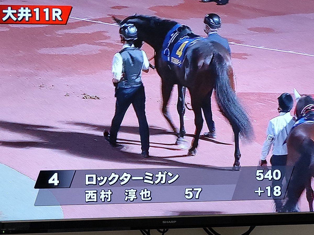 rise77's tweet photo. いよいよ東京ダービー発走です
皆さんはどの馬に夢を託しますか？
#東京ダービー https://t.co/4pGlOXuXJ3