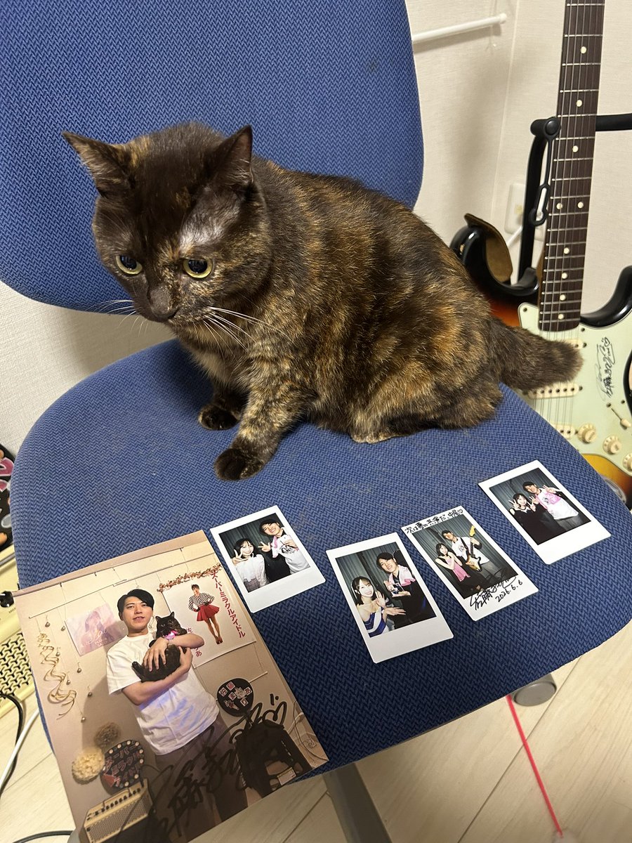 akituyoki's tweet photo. 土曜はフィロのス最後の特典会
あんぬちゃんに手紙と渡したかった物をお渡しできて一安心

もっと早くから現場に通えばよかったと後悔あるけど、話したかった事はちゃんと話せた気が！
最後に「猫ちゃんによろしく！」と言ってもらえたので、帰宅後に愛猫のビーちゃんにちゃんと伝えた！
#あんぬちゃん https://t.co/QBIMlgWqMk