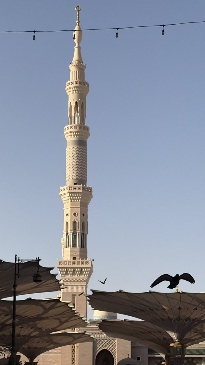 _ami6a's tweet photo. "يا لَيتَني كنتُ طيراً في العَراء/ فَلا ذَنبٌ عليَّ ولا الآلامُ تَحوِيني" https://t.co/u3TNl18srN