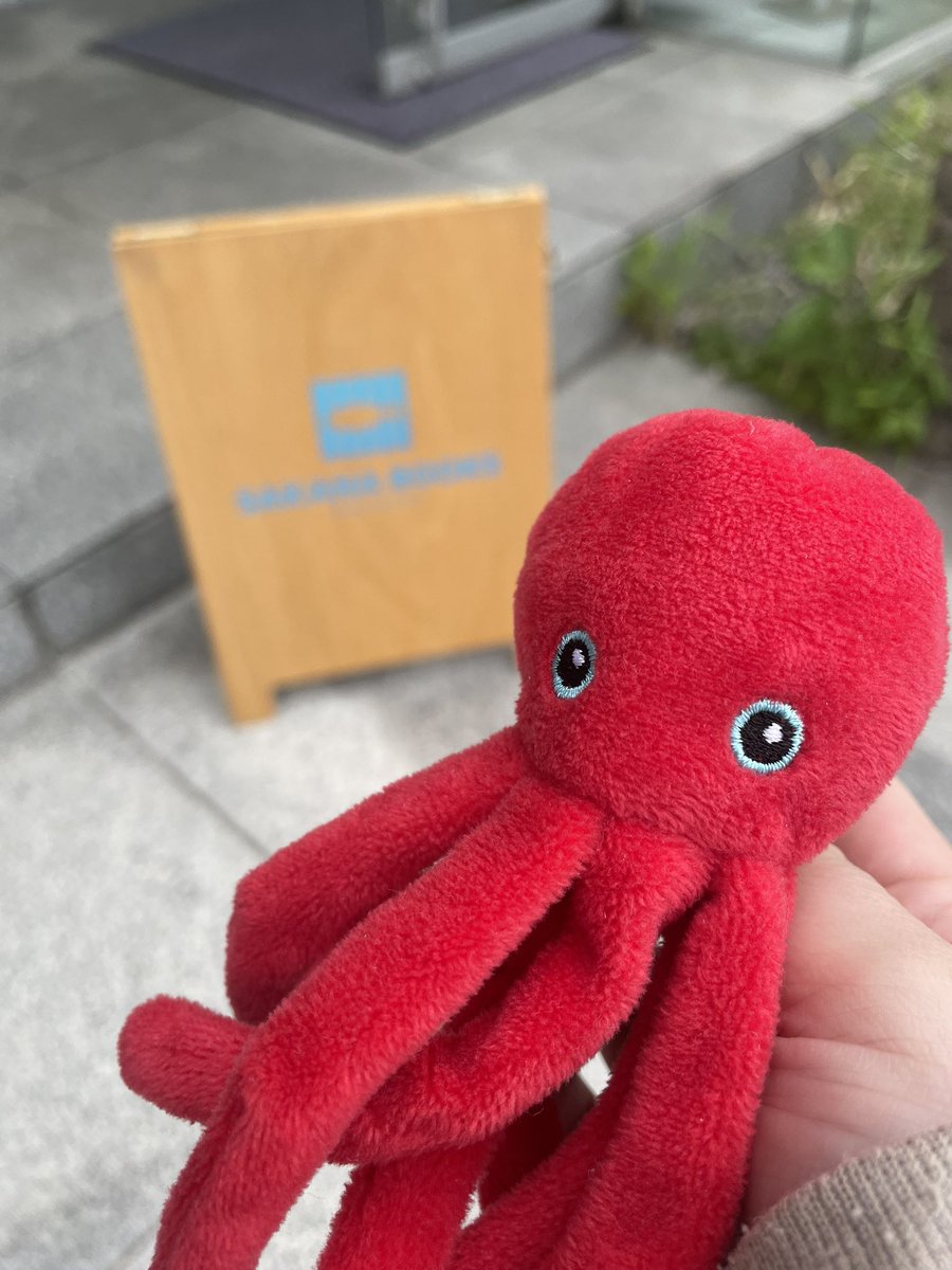 ろーそん先生!@English-teaching octopus tweet media
