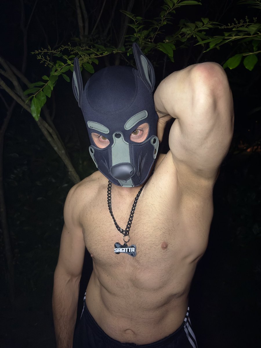 SagittaPuppy NSFW🔞 tweet media