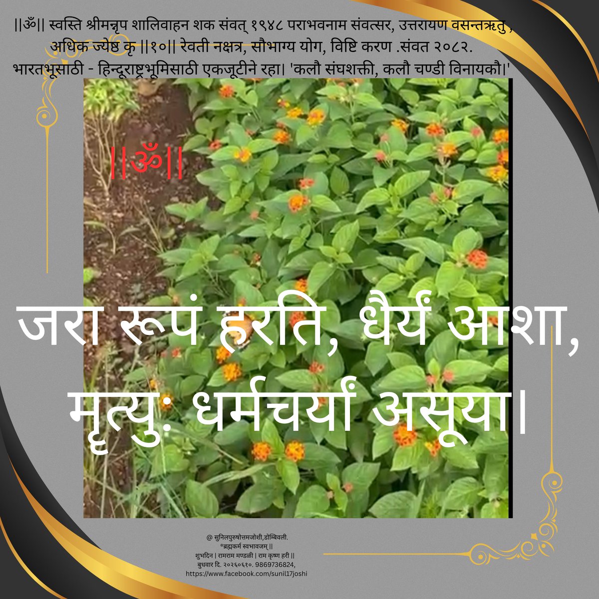 sunil17joshi's tweet photo. https://t.co/nodGeBBb0f